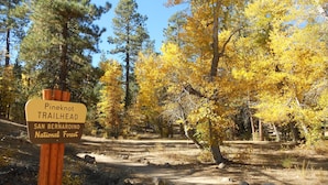 Placa indicativa do início da trilha Pineknot, na Floresta Nacional de San Bernardino.
