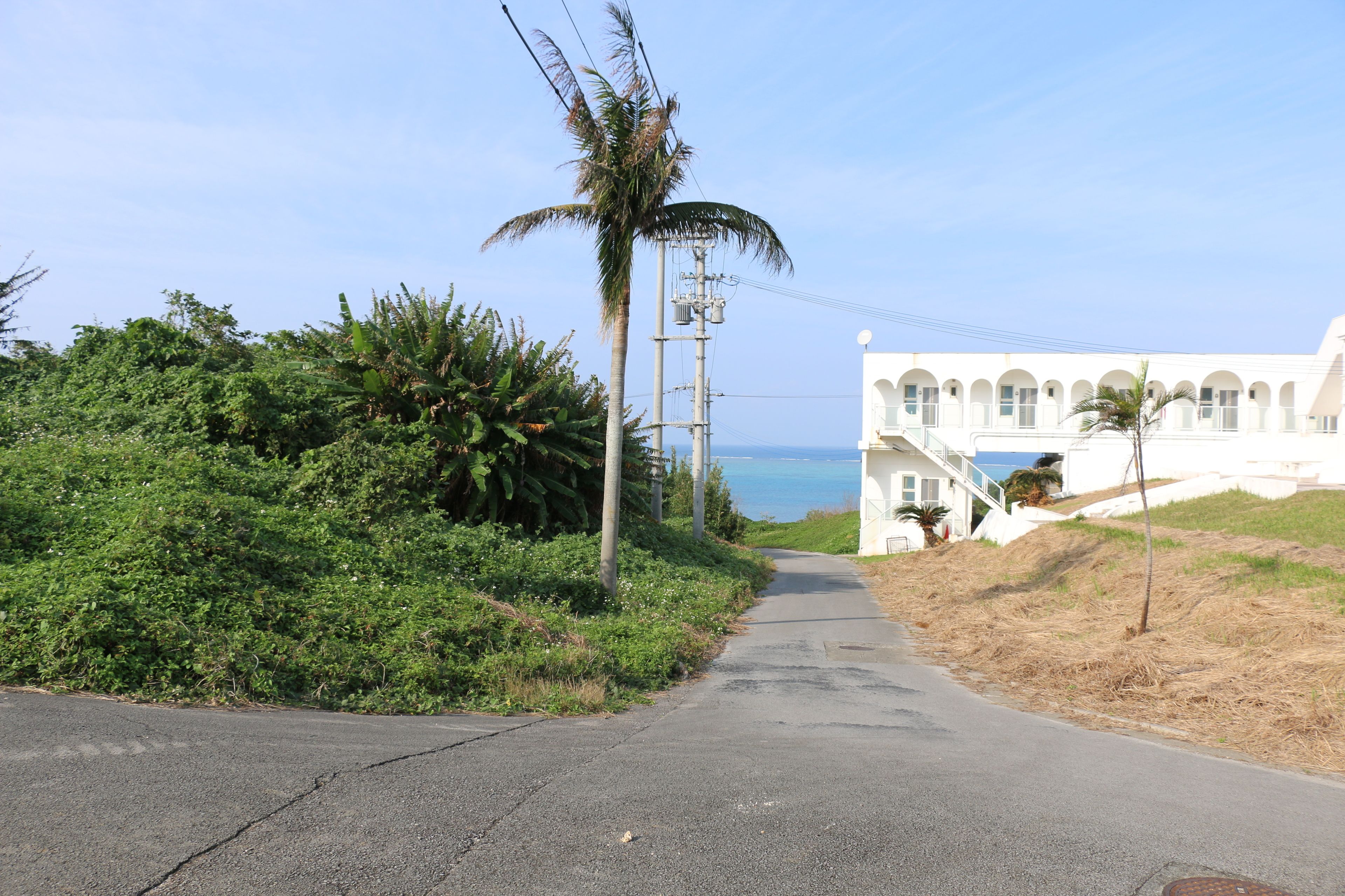 standard single room, 1 bedroom, non smoking | balcony view