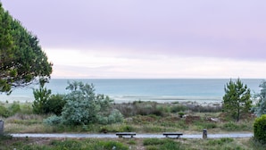 Eine Küstenlandschaft mit einer Bank und einem Weg zum Strand.