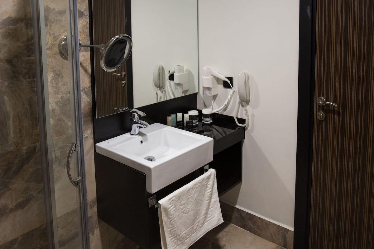 shower, free toiletries, hair dryer, towels