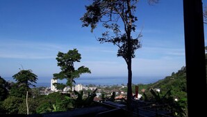 Un paisaje urbano costero con edificios, árboles y una vista despejada del océano.