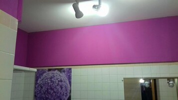 淋浴设施、免费洗浴用品、吹风机、坐浴桶