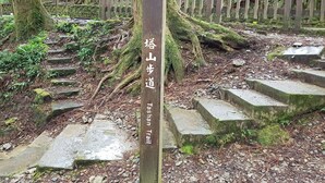 A signpost with directions to the Tashan Trail and Alishan Forest Recreation Area. - Ming Yang B&B (Zhuqi)