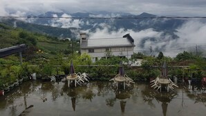 A view of a house with a mountain backdrop, surrounded by lush greenery and potted plants. - Ming Yang B&B (Zhuqi)