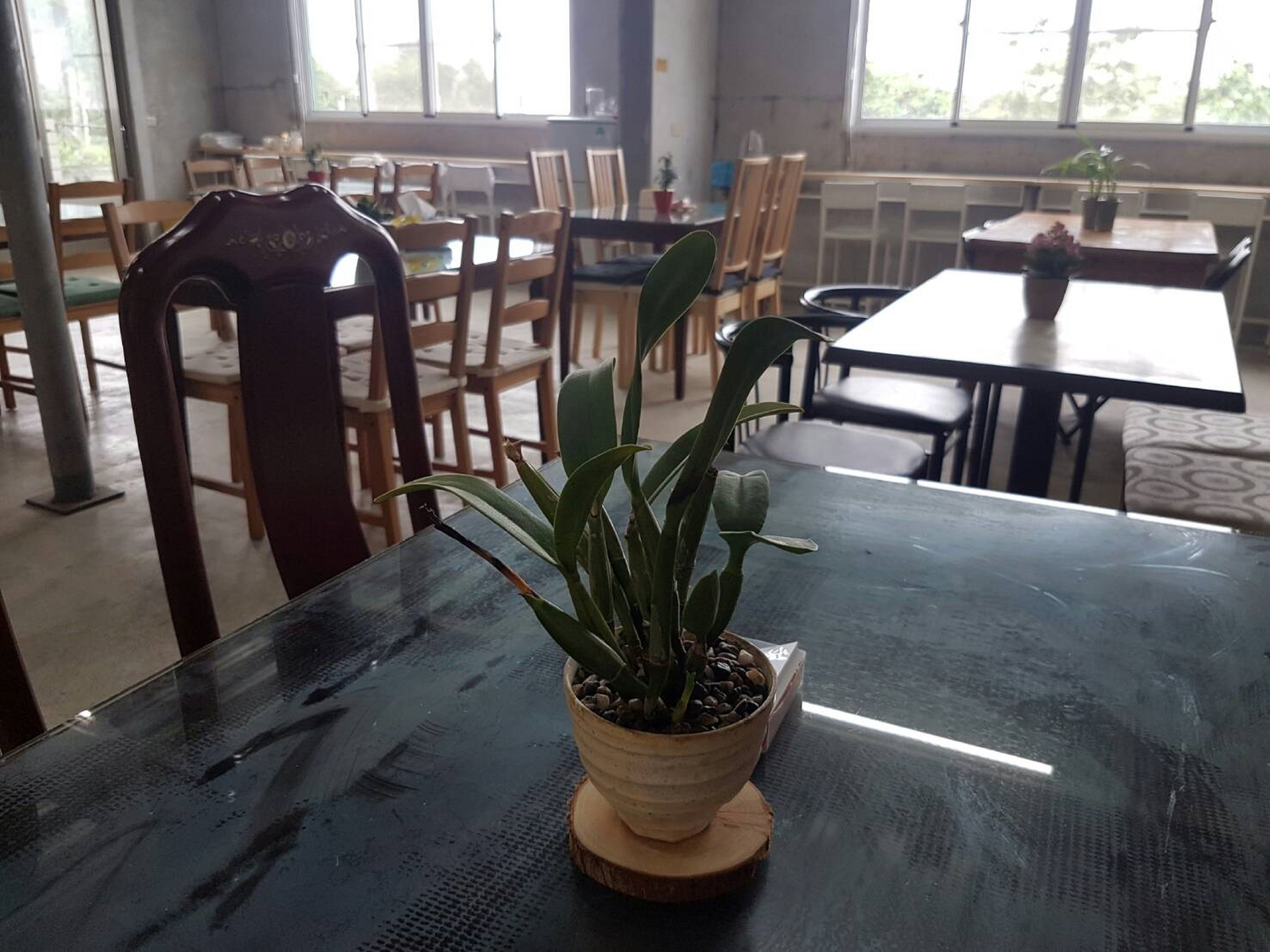 A room with a wooden chair, a table with a potted plant, and multiple tables and chairs in the background.