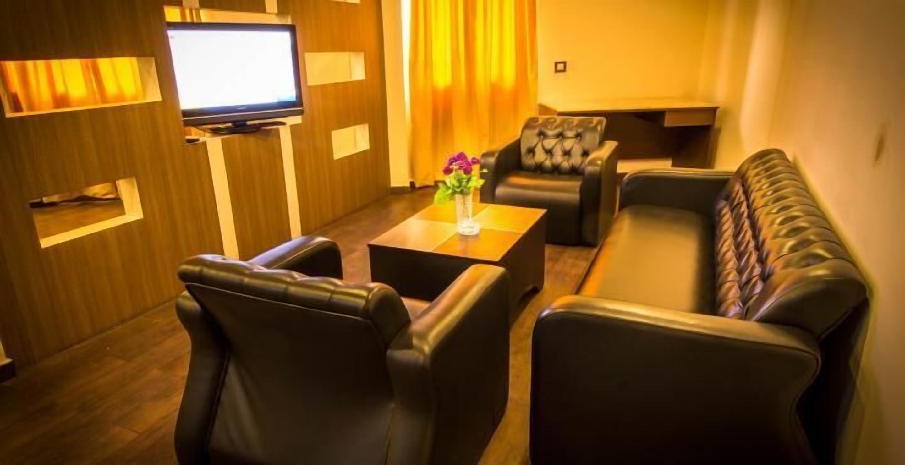 premium double or twin room, city view | living area | flat-screen tv