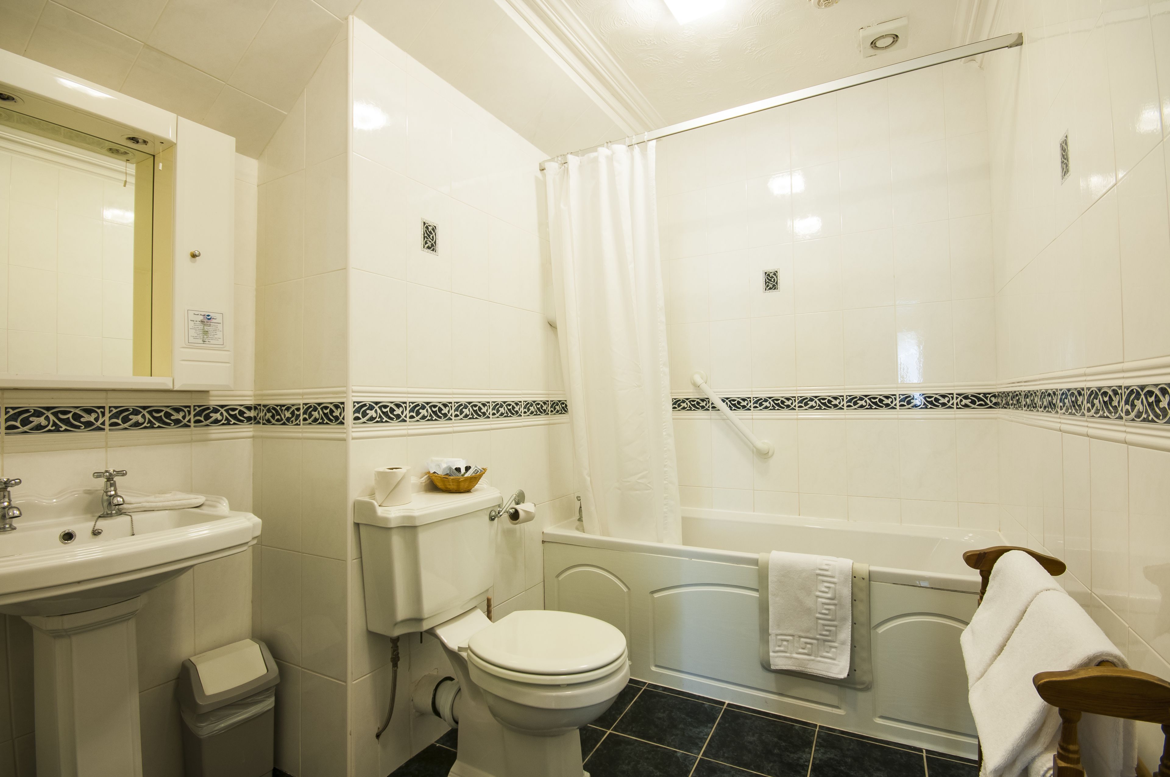 combined shower/bathtub, free toiletries, hair dryer, towels