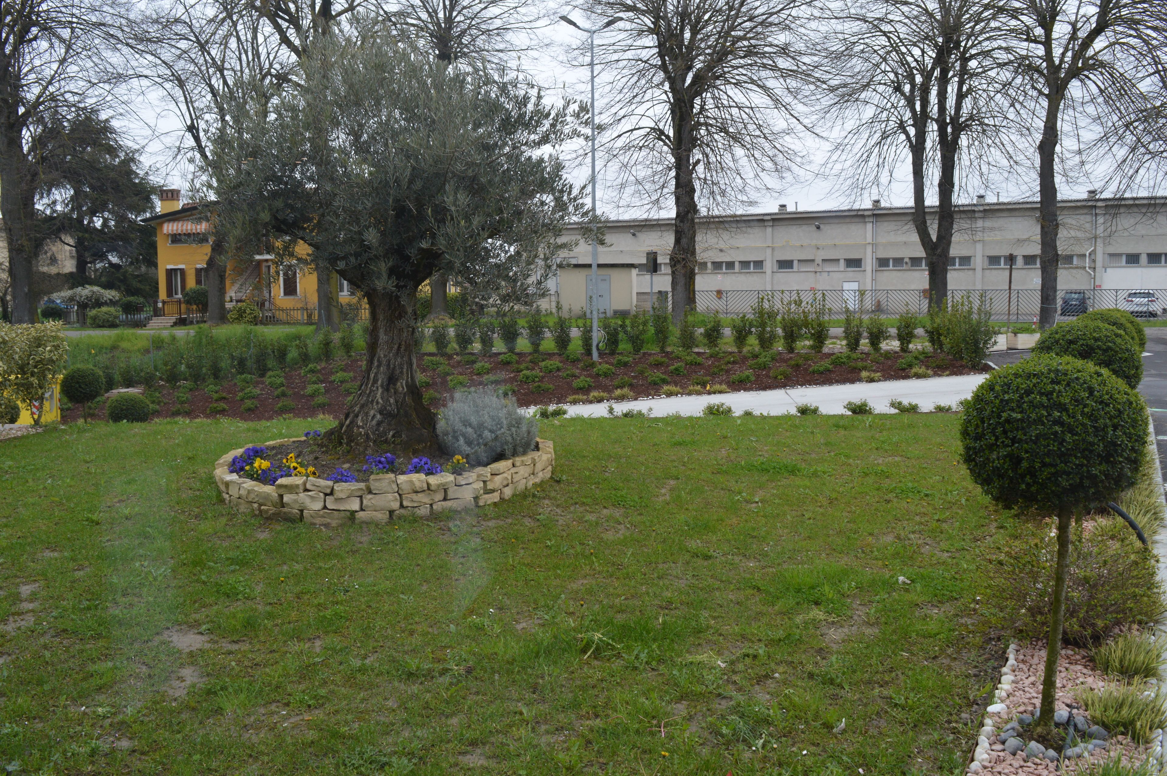 Ein angelegter Garten mit einem zentralen Baum, einer Steingrenze und verschiedenen Pflanzen.