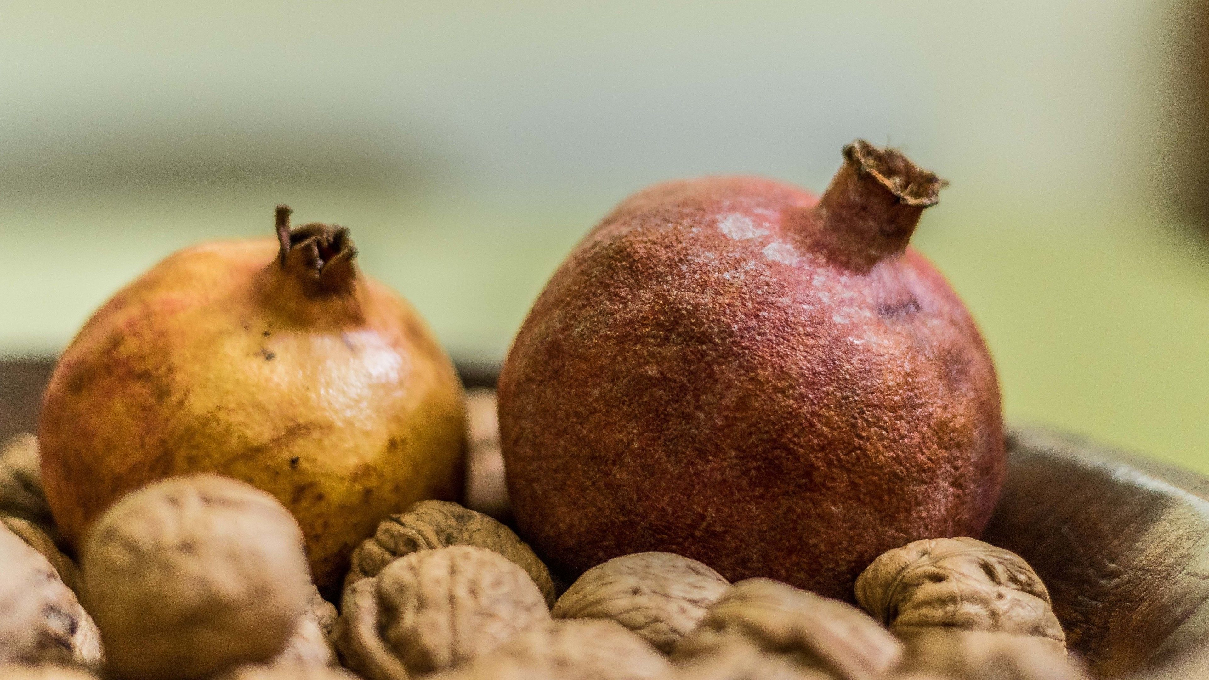 Foto - Casa de Atalaia