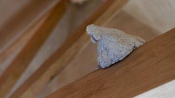 Ein kleines, strukturiertes Objekt, das an Vogel oder Insekt erinnert, auf einer Holzfläche.