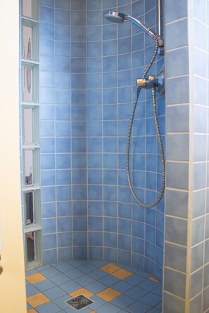Douche de la salle de bain
