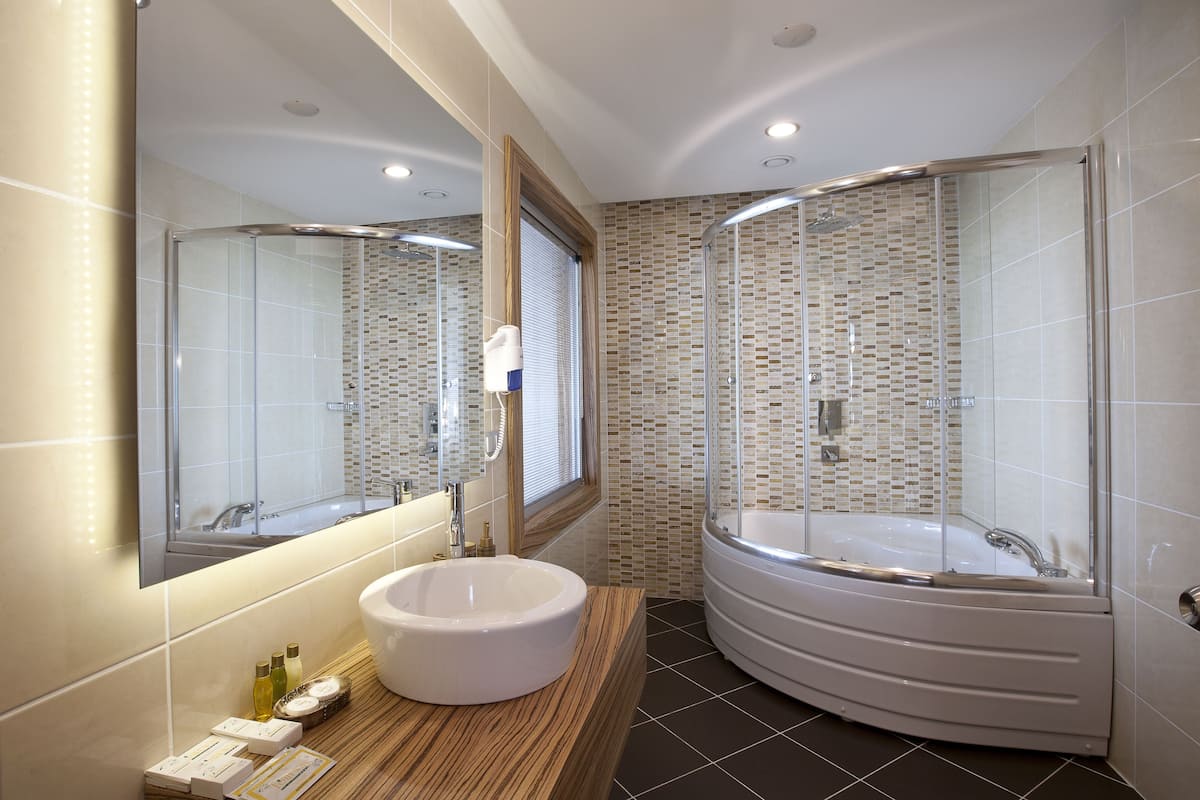 shower, free toiletries, hair dryer, slippers