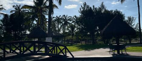 Outdoor pool, free cabanas, pool umbrellas
