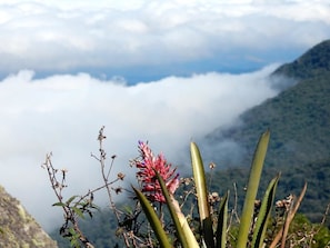 Vista da propriedade