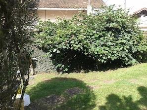 Jardim
