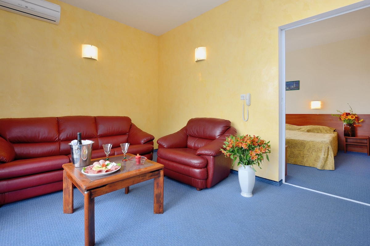 Standard Apartment, 1 Bedroom | Living area