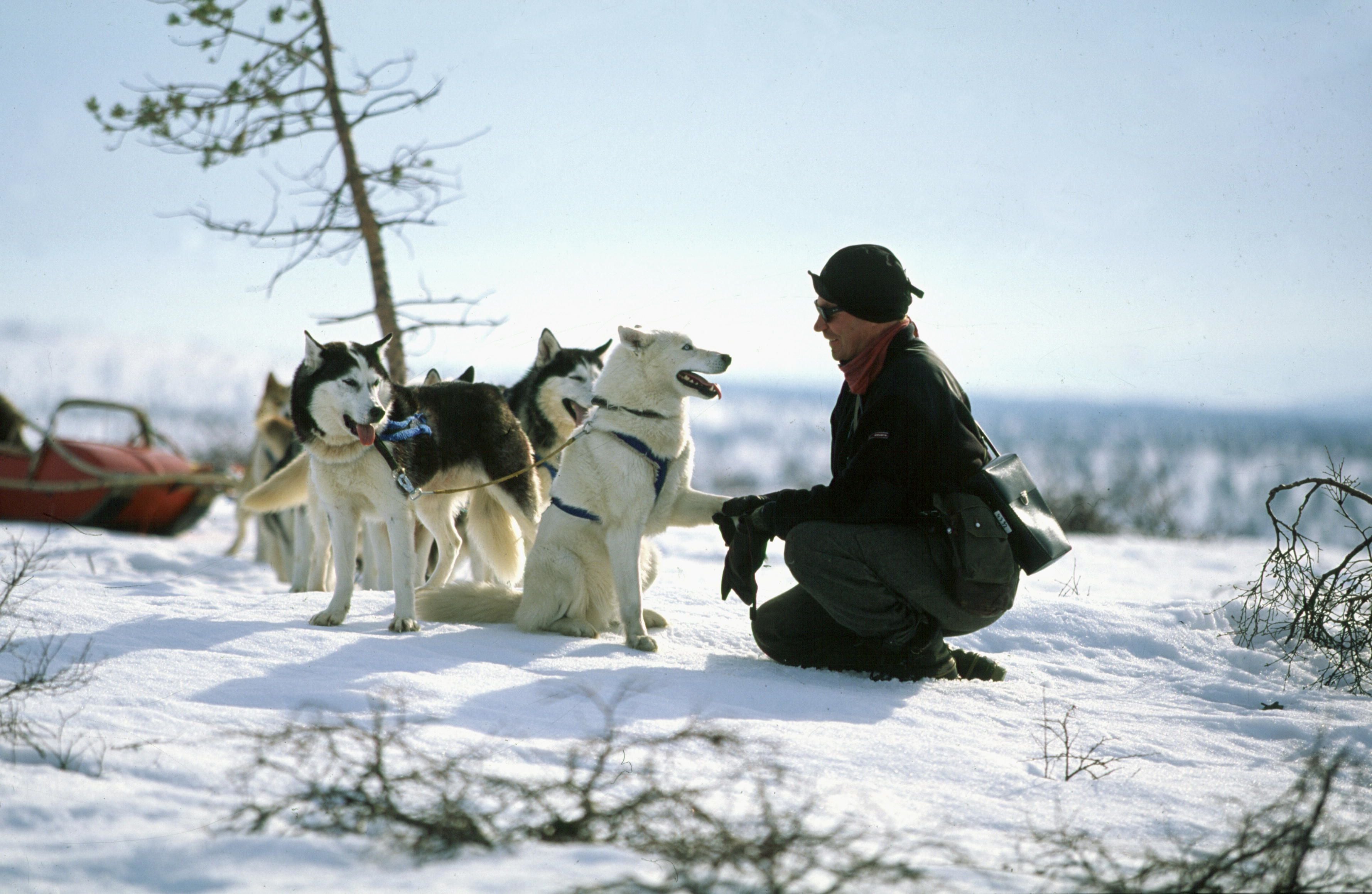 A person in a snowy outdoor setting with several dogs.