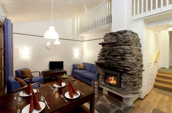Apartment, 1 Bedroom, Sauna (45 m2) | Living room | Flat-screen TV, fireplace, DVD player