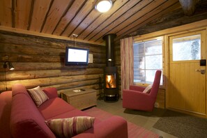 Télévision à écran plat, cheminée, lecteur de DVD