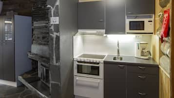 Estúdio, sauna seca (37 m2) | Cozinha privada | Geladeira grande, micro-ondas, fogão, cooktop