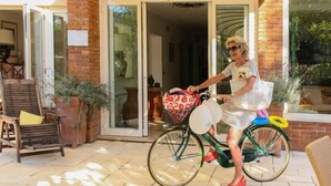 A person on a bicycle with a basket, a dog, and a shopping bag, outside a building with a brick facade and a glass door. - Hotel Miramare (Forte dei Marmi)