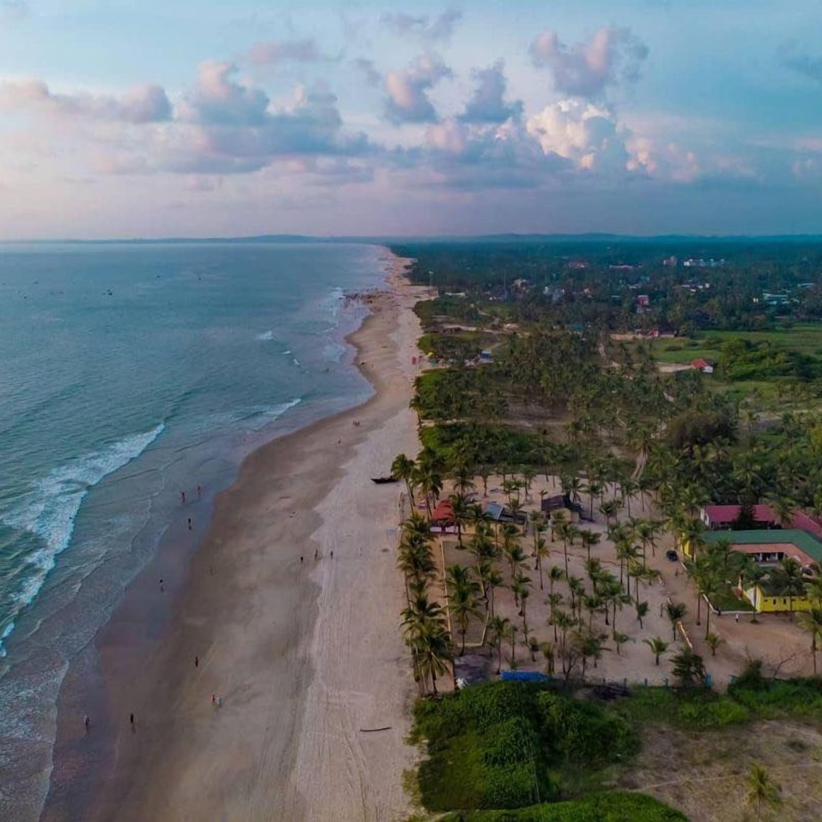 Una playa con una hilera de casas y palmeras.