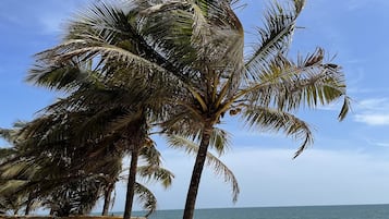 En privat strand, strandbarer