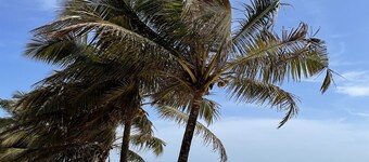 C'Roque Beach Resort