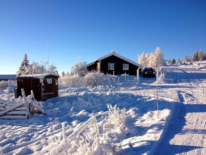Lilleset Cabin - Gol