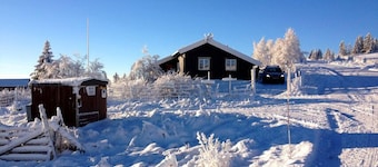Lilleset Cabin - Gol