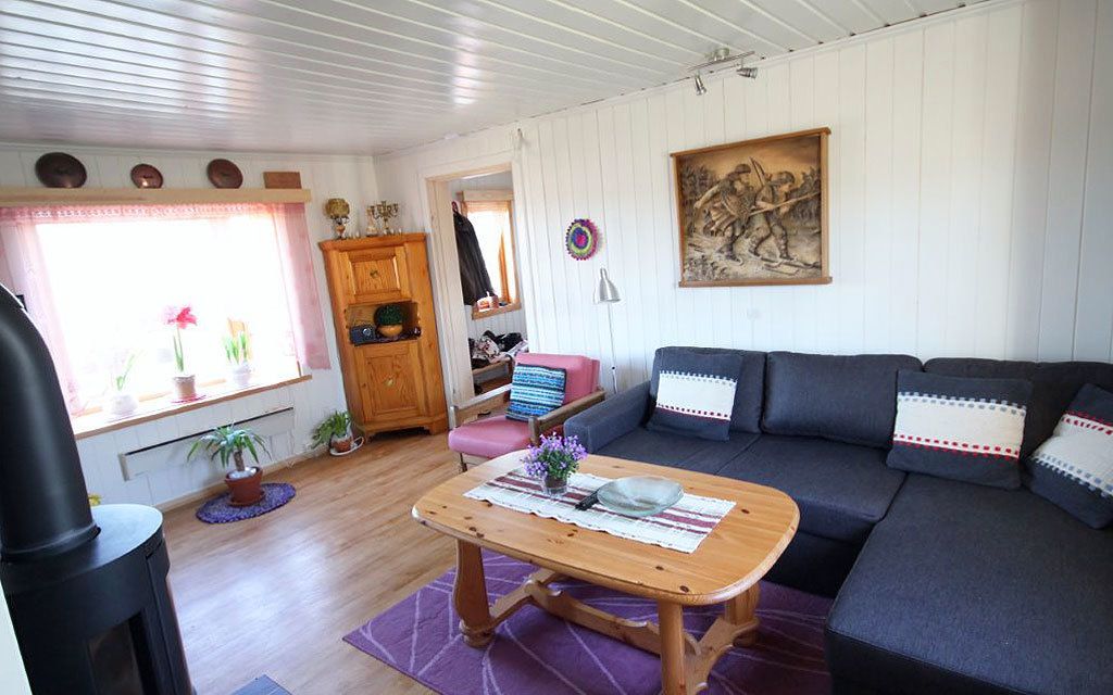 Cabin | Phòng khách | TV màn hình phẳng, lò sưởi 