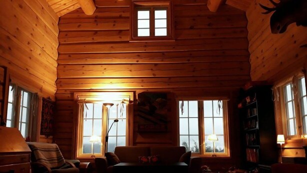 A cozy log cabin interior with a fireplace, a sofa, and a bookshelf. - Blazerbu - Cabin for 8 persons - Hol (Hol)