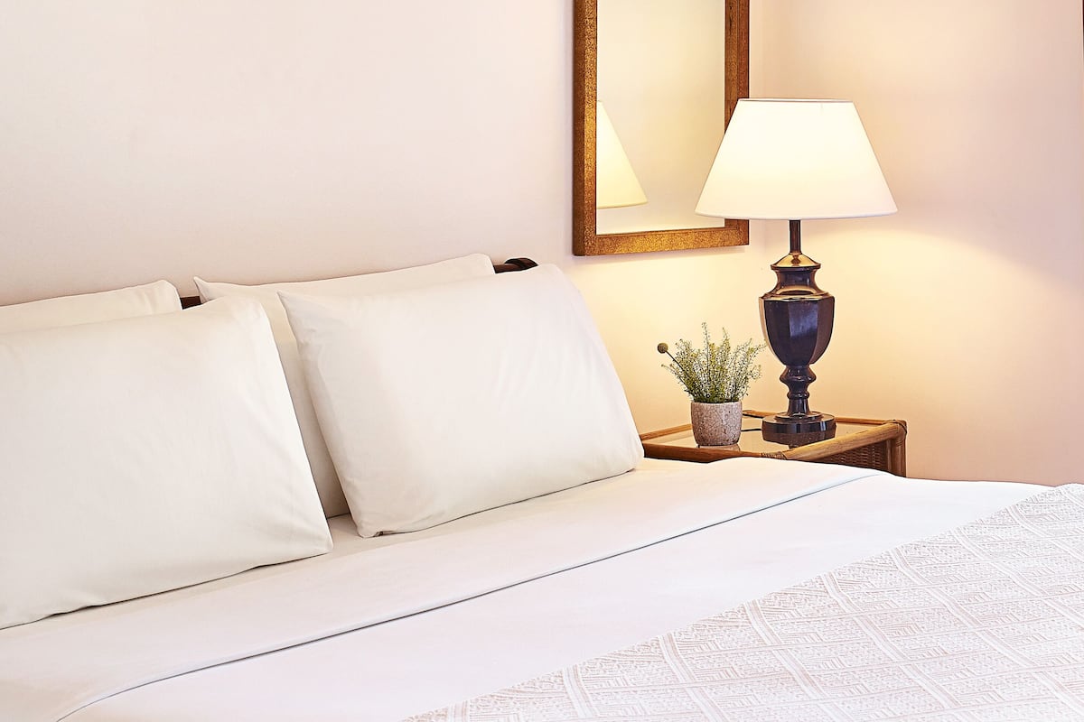 Una cama bien hecha con sábanas blancas, una mesita de noche con lámpara y una pequeña planta en maceta.