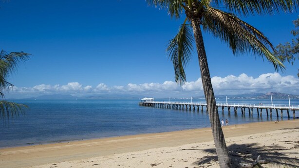 Ein Strand mit einer Palme, einem Steg, der sich ins Wasser erstreckt, und einem wolkenlosen, blauen Himmel.