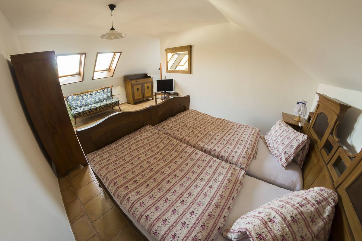 A bedroom with two beds, a desk, and a TV. There are skylights and a wooden wardrobe.