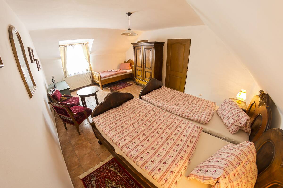 A bedroom with two beds, a wardrobe, a desk, and a chair.
