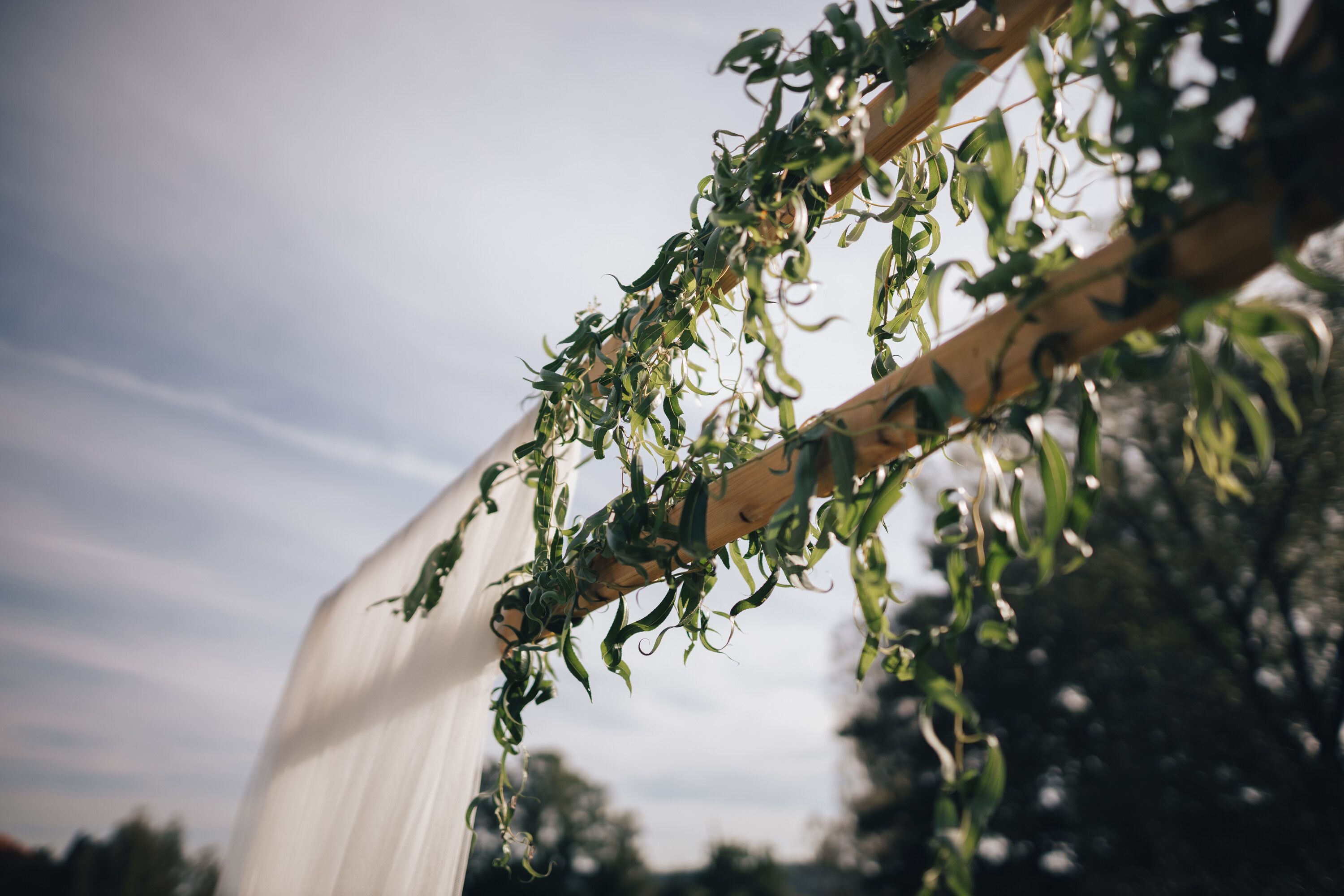 A wooden structure with vines hanging from it.
