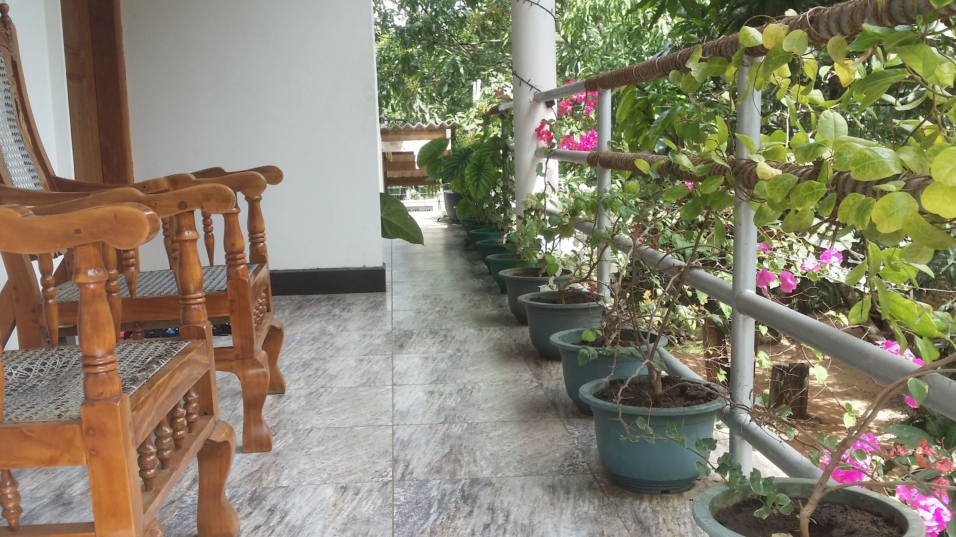 A corridor with wooden chairs and potted plants along the walls.