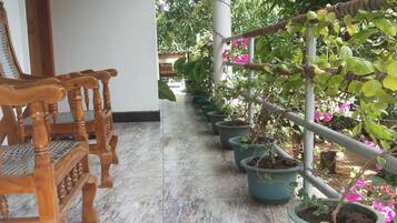 A corridor with wooden chairs and potted plants along the walls.
