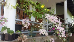 Une véranda ornée de plantes et de fleurs en pot, une chaise en bois et un escalier.