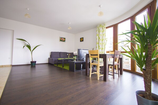Panoramic Apartment, Accessible, Mountain View | Living room | Flat-screen TV