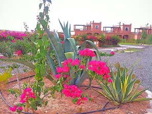 Garden - Villa Residence Oumnas (Tameslouht)