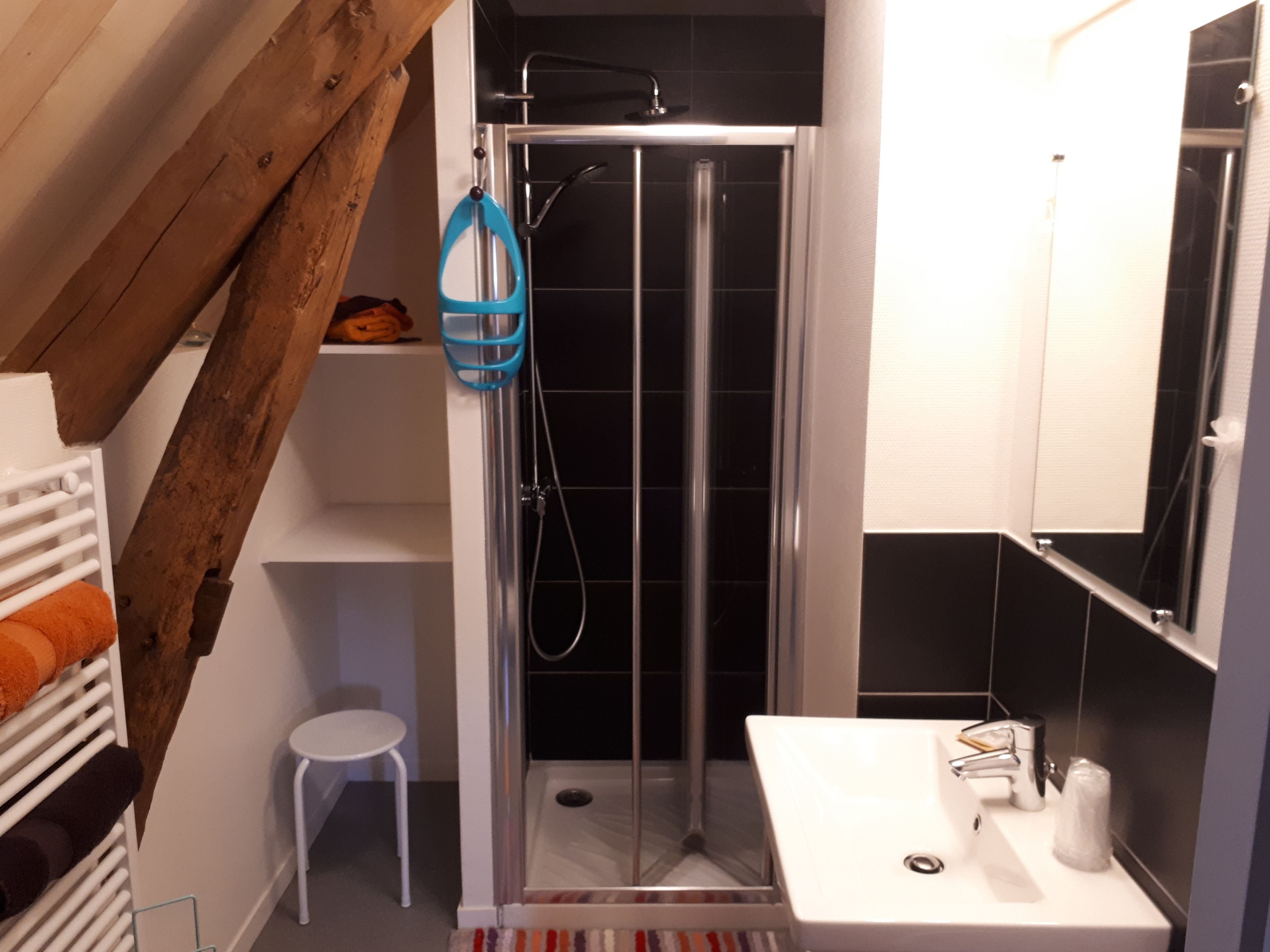 deluxe room, non smoking | bathroom | shower, rainfall showerhead, free toiletries, hair dryer