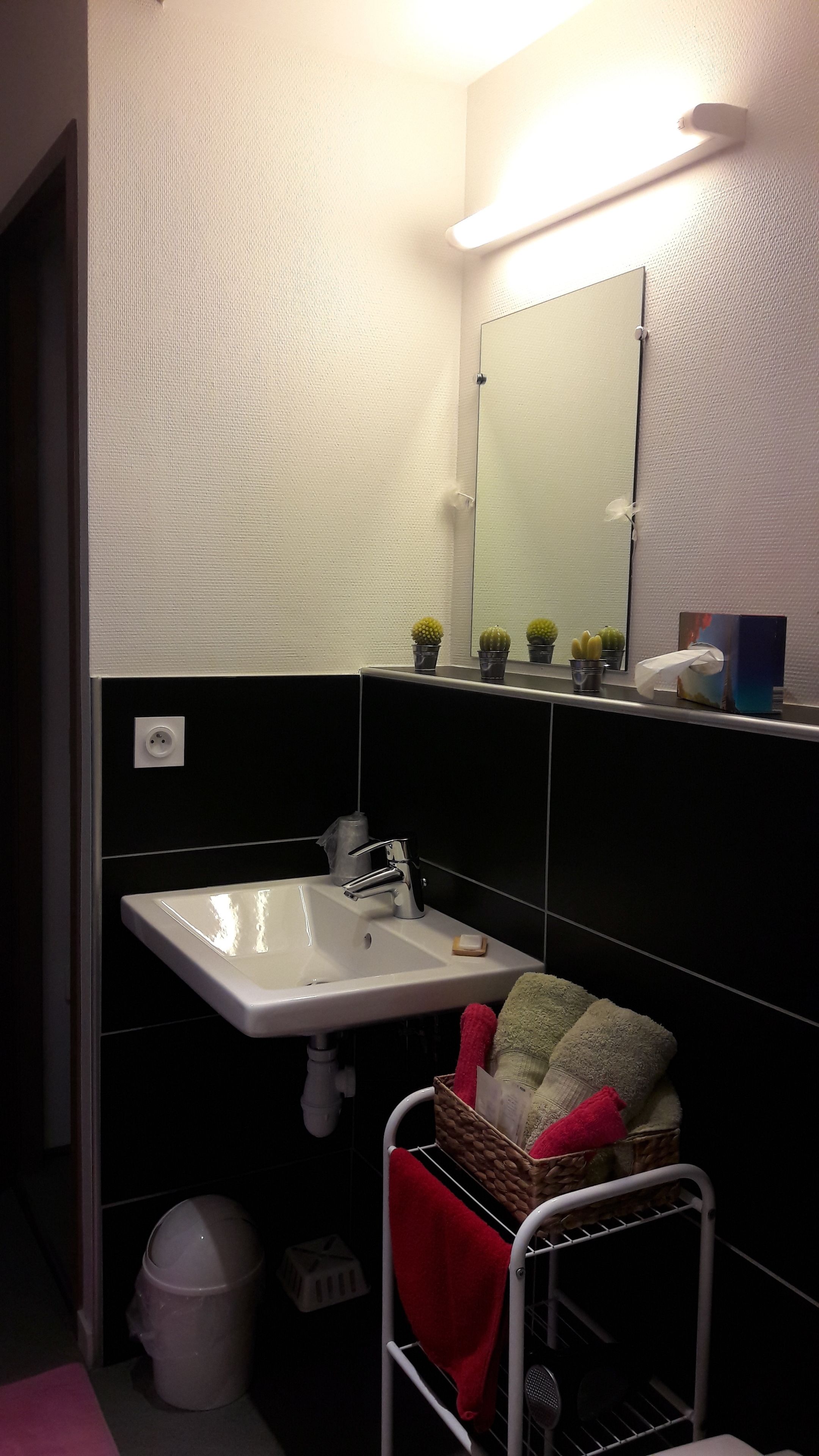 Une salle de bain avec un lavabo, un miroir et une petite étagère ornée de plantes.