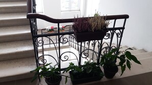 Un escalier avec une rampe en métal, des plantes en pot et une fenêtre donnant sur des voitures garées.