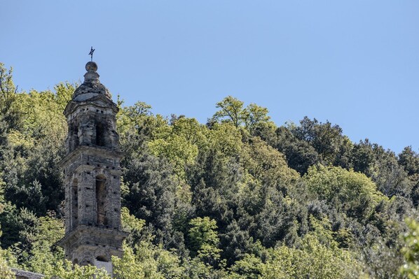 A stone tower with a weather vane on top, surrounded by dense forest. - Chambre D'Hôtes La Marlotte (Castello-di-Rostino)