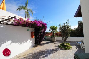 A courtyard with a white wall, a pergola with purple flowers, a palm tree, and a tiled floor.