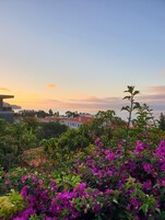 Θέα από το κατάλυμα