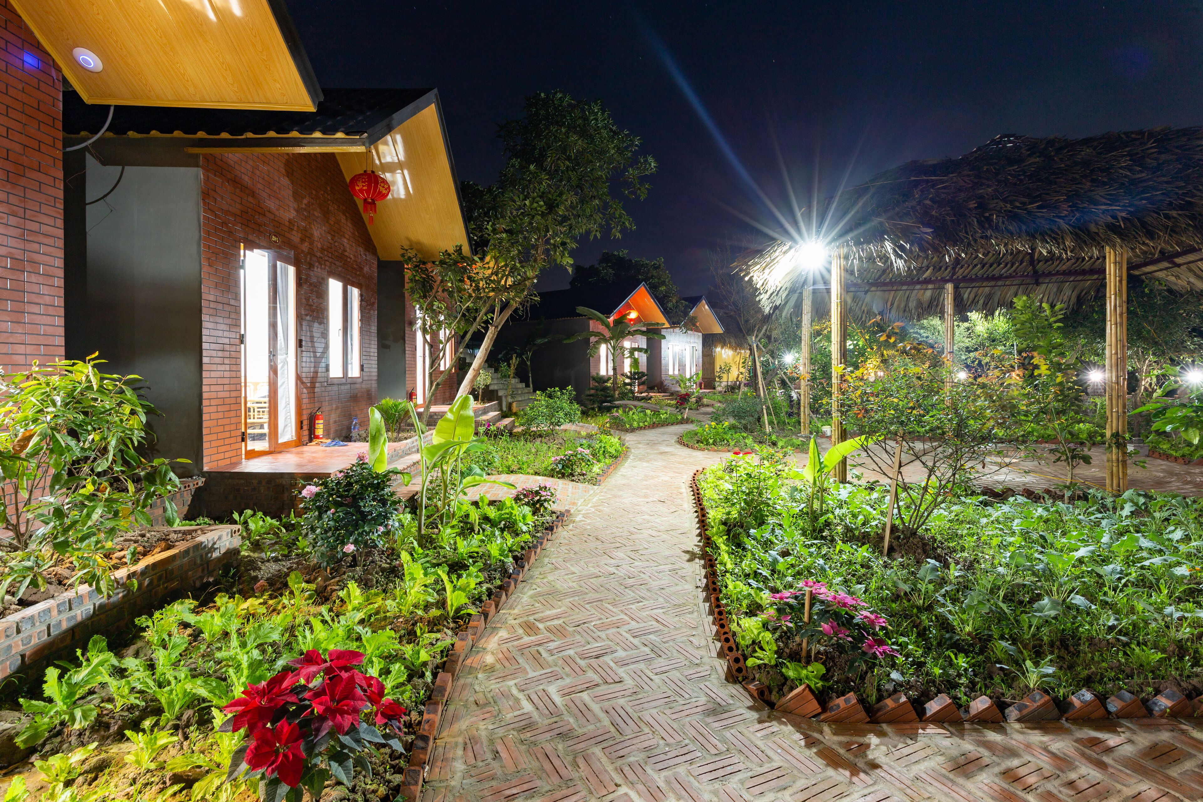 superior double room, lake view | garden view