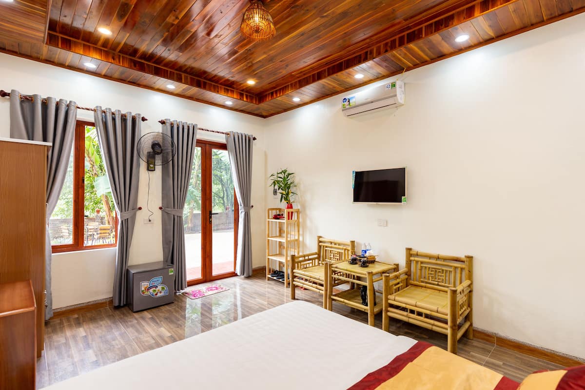 A room with a bed, a TV, a fan, a table, chairs, and a plant.